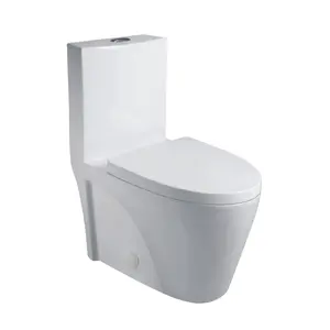 Aquamoon TB 382 Elongated One Piece Dual Flush Toilet With Soft Closing Seat Modern