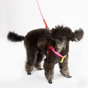 Nylon Color Block Harness - Neon Pink, Yellow & Orange Design, Fully Adjustable, Stainless Steel Side Release Buckle, Made in the USA