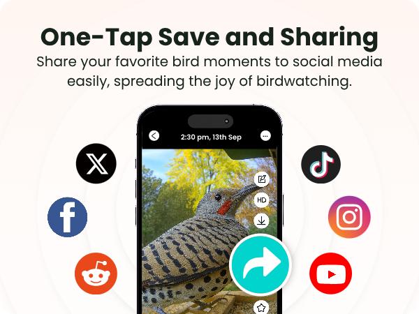 Birdfy Smart Bird Feeder with Camera Solar Powered, Night Insight & Slow-Motion Video for Outdoors & Backyard Birds Watching, AI Identify 6000+ Species , Wood Birdfy Smart Bird Feeder with Camera Solar Powered, Night Insight & Slow-Motion Video for Outdoors & Backyard Birds Watching, AI Identify 6000+ Species , Wood