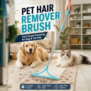 Metal Mop Lint Remover Detachable Carpet Pet Hair Brush Long-Handle Hair Scraper
