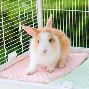1PC  Ice Silk Hamster Sleep Pad Cooling Mat, Anti-Slip Small Pet Bed Mat, Comfortable Small Pets Nest Bedding Small Pets Bed Mat Suit for Hamster, Rabbits, hedgehogs & Guinea