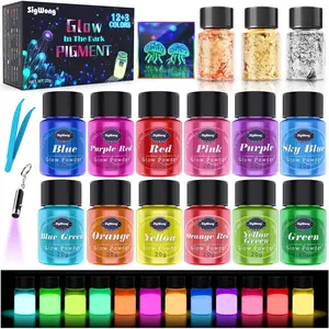 12 Colors Glow in The Dark Luminous Pigment Powder 20g/0.7oz with 3 Colors Gold Foil Flakes for Epoxy Resin Art Slime Nail Art Acrylic Paint DIY Crafts