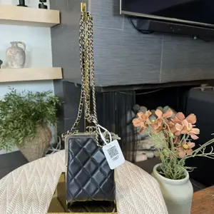 Pre-owned CHANEL Lamb Skin Professional & Technology Bags Kisslock Mini Clutch with Chain