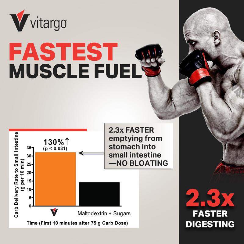 Vitargo Carbohydrate Powder 4.4 LB Plain Sugar-Free Complex Carb for Recovery Endurance & Muscle Gain 2X Faster Absorbing Made in USA - Healthcare