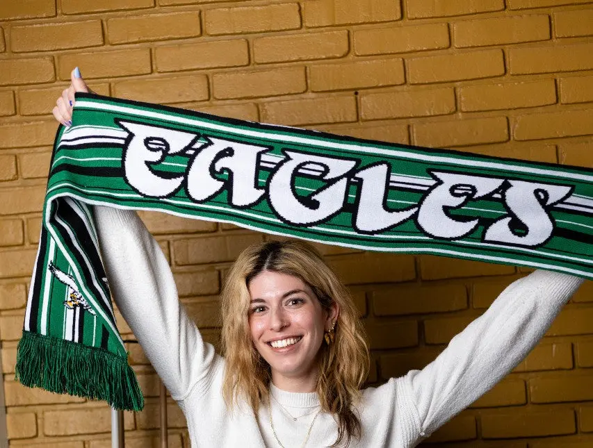 Philadelphia Eagles Retro Hyper Stripe Big Logo Scarf