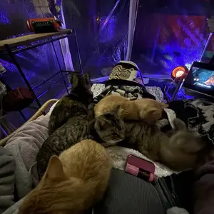 VEVOR Sports Tent Instant Tent Shelter Weather Proof 1 Person Clear Bubble Tent