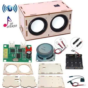 DIY  Speaker Box Kit  Sound Amplifier - Build Your Own Portable  Case  Speaker Sound - Science Experiment and STEM Learning for , Teens and Adults