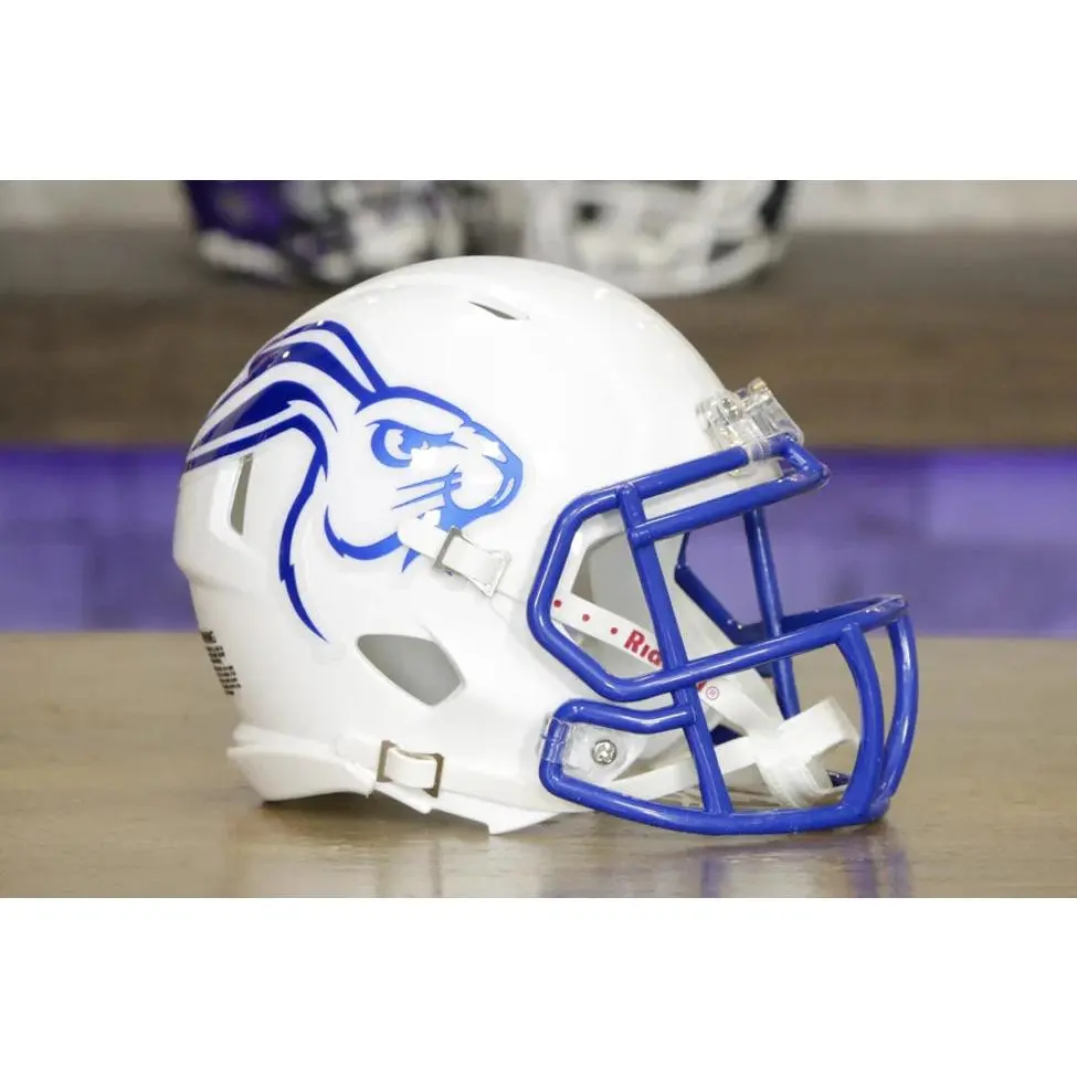 Collectible Helmets - Riddell South Dakota State Jackrabbits Affordable Speed-Style Mini Replica, 6-in Half-Size Official Team Colors Desk Display, Easy to Collect Sports Fan Gift