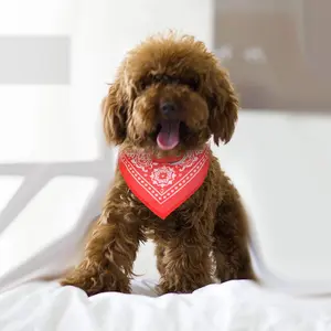 Trendy Triangle Scarf Adjustaable Leather Pet Collar for Fashionable Pets