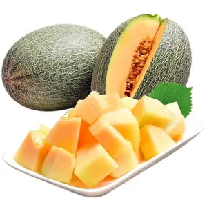 50 Cantaloupe Seeds for Planting, Sweet Melon Fruit Seeds for Home Garden Growing, Non-GMO Cantaloupe Plant Seeds, Seeds Only Not Live Plants