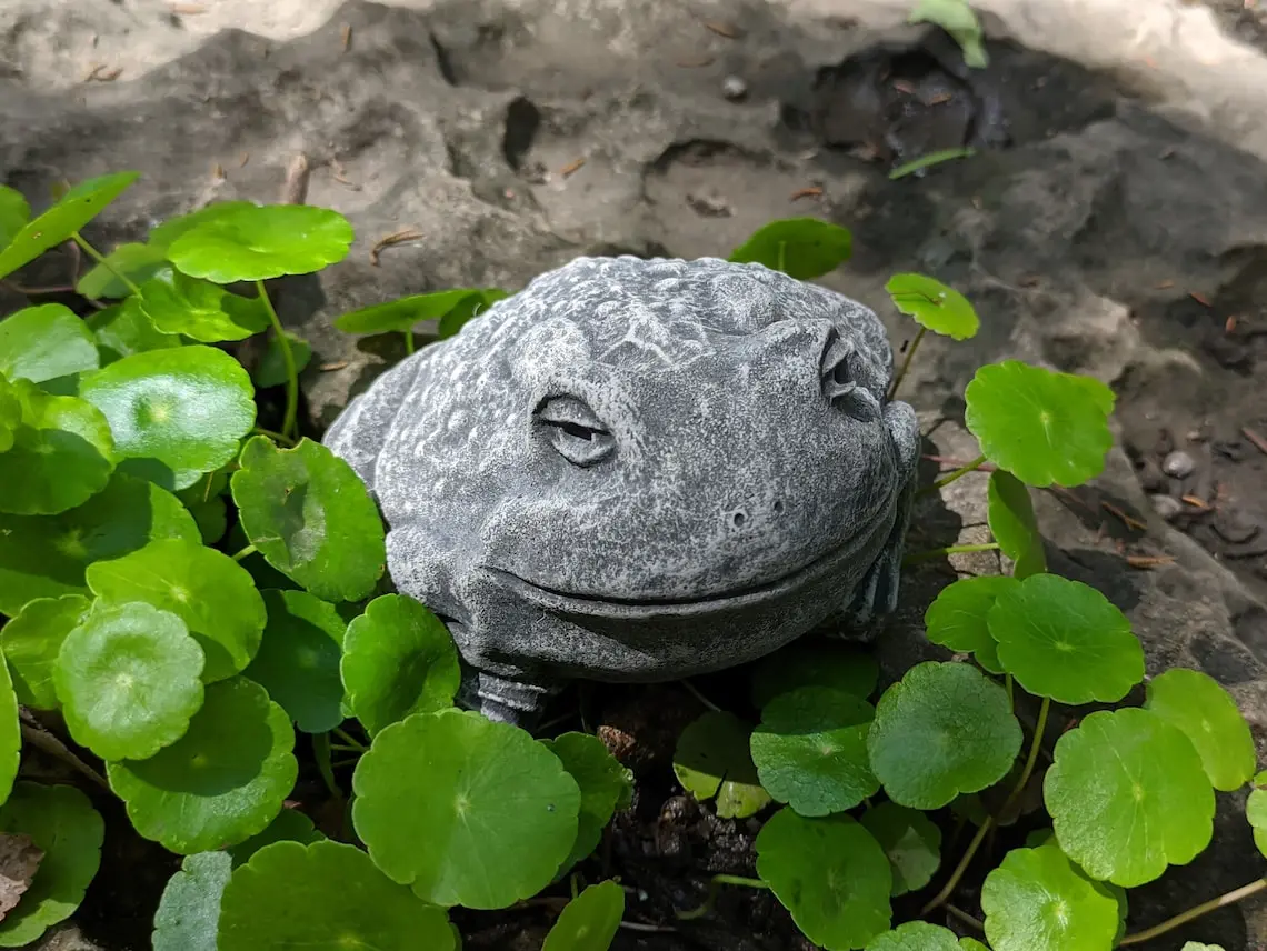 Chilled and Relaxed Toad Concrete Statue - Home or Garden Decor - Cement Statue, Lawn Garden Decor, Concrete Animal