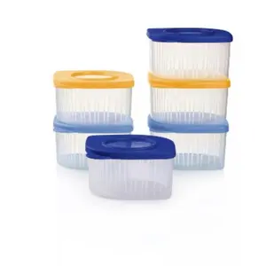 Fresh N Cool Containers Airtight