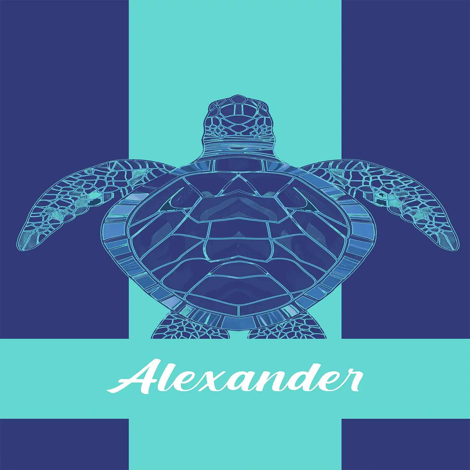 Name - Boho Sea Turtle Ocean