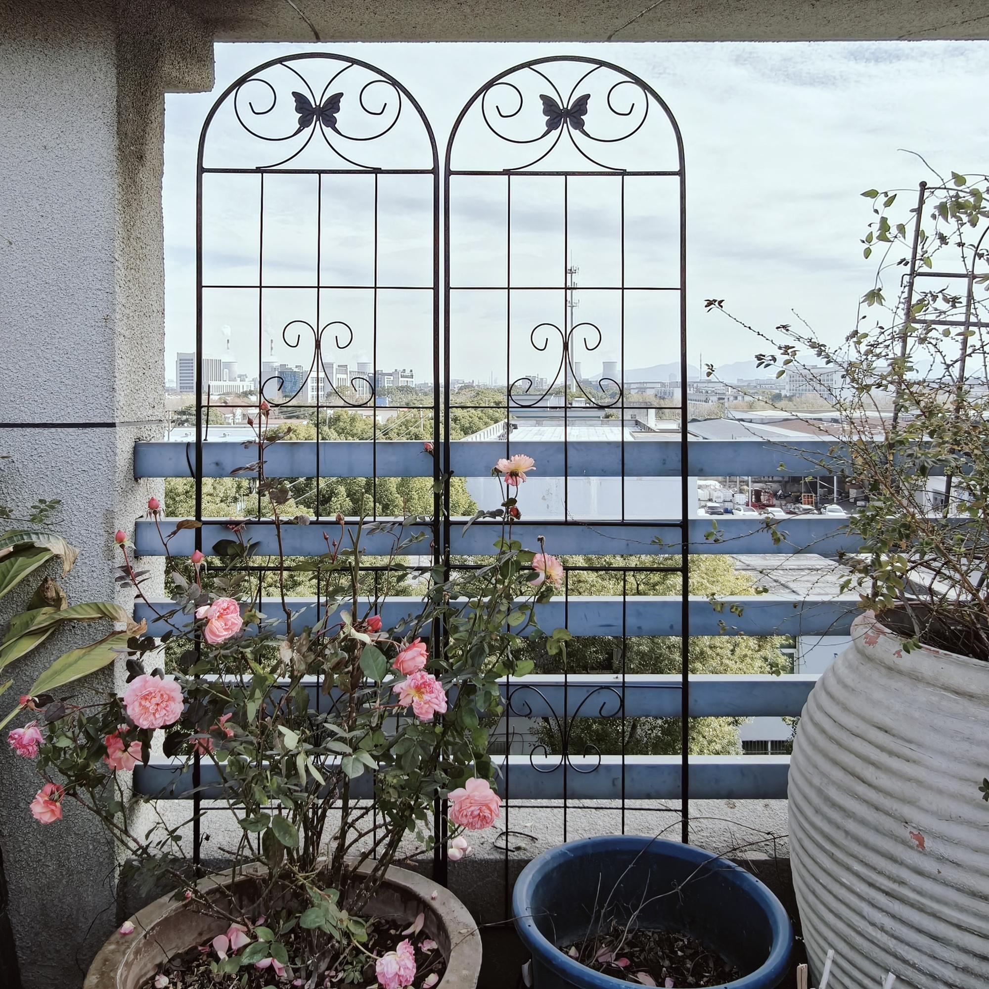 2/4 Pack Metal Garden Trellis 71" x 19.7" Rustproof Trellis for Climbing Plants Outdoor Flower Support Black