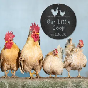 Chicken Coop - Custom Metal Sign