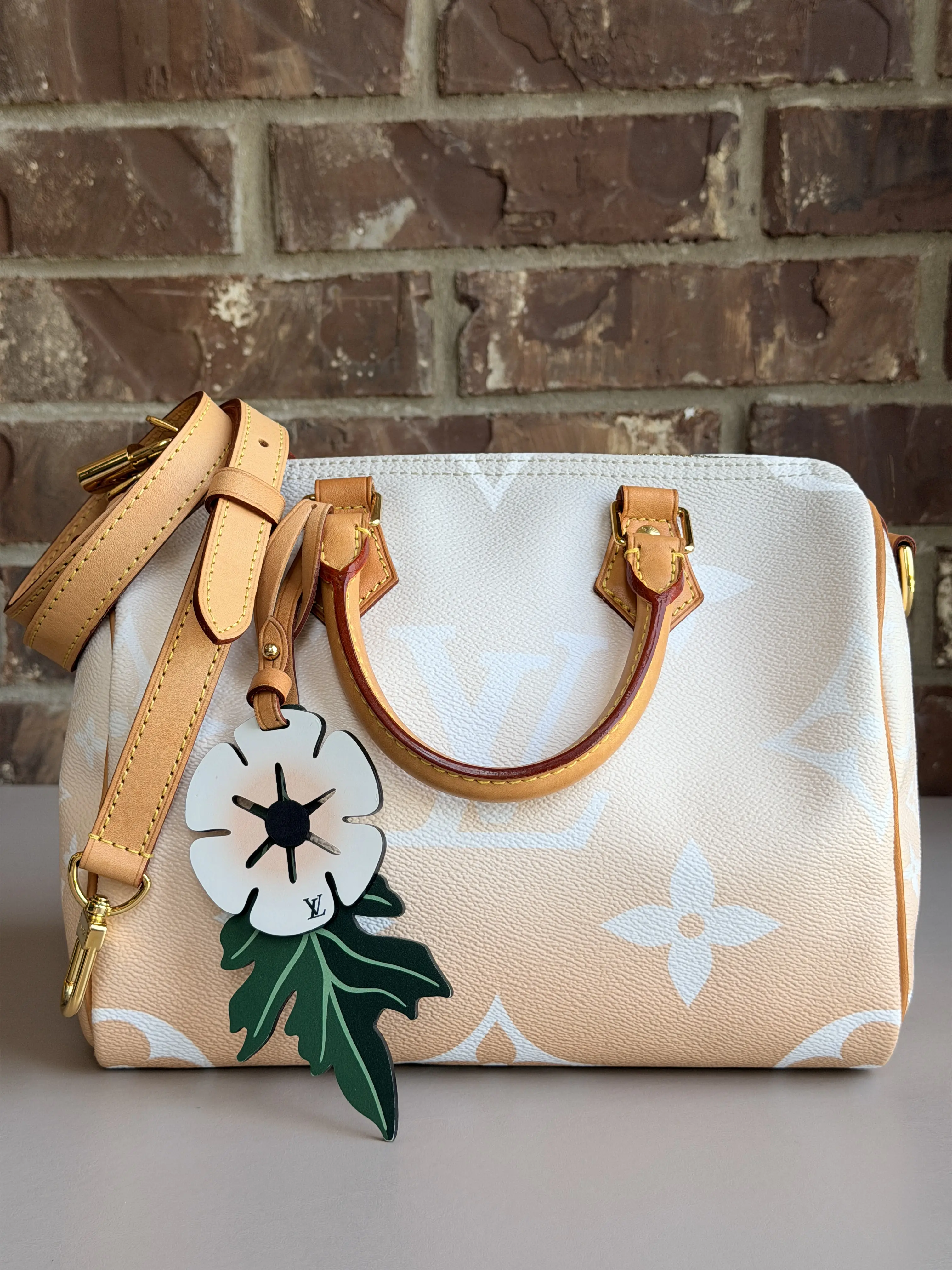 Pre-owned Louis Vuitton canvas Shoulder Bags Speedy Bandouliere Bag By The Pool Monogram Giant 25 67435