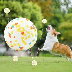 2026 ETPU High-Rebound Dog Bite-Resistant Ball, Round Patterned Chew Ball, Training Pet Educational Interactive Toy Ball