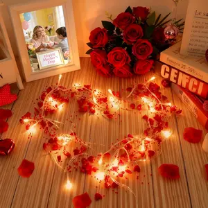 10FT 30 LED Heart String Lights for Mom, Wife, Grandma, Daughter,  Operated Fairy Lights for Indoor Outdoor  Decor, Front Door, Party & Holiday Decoration