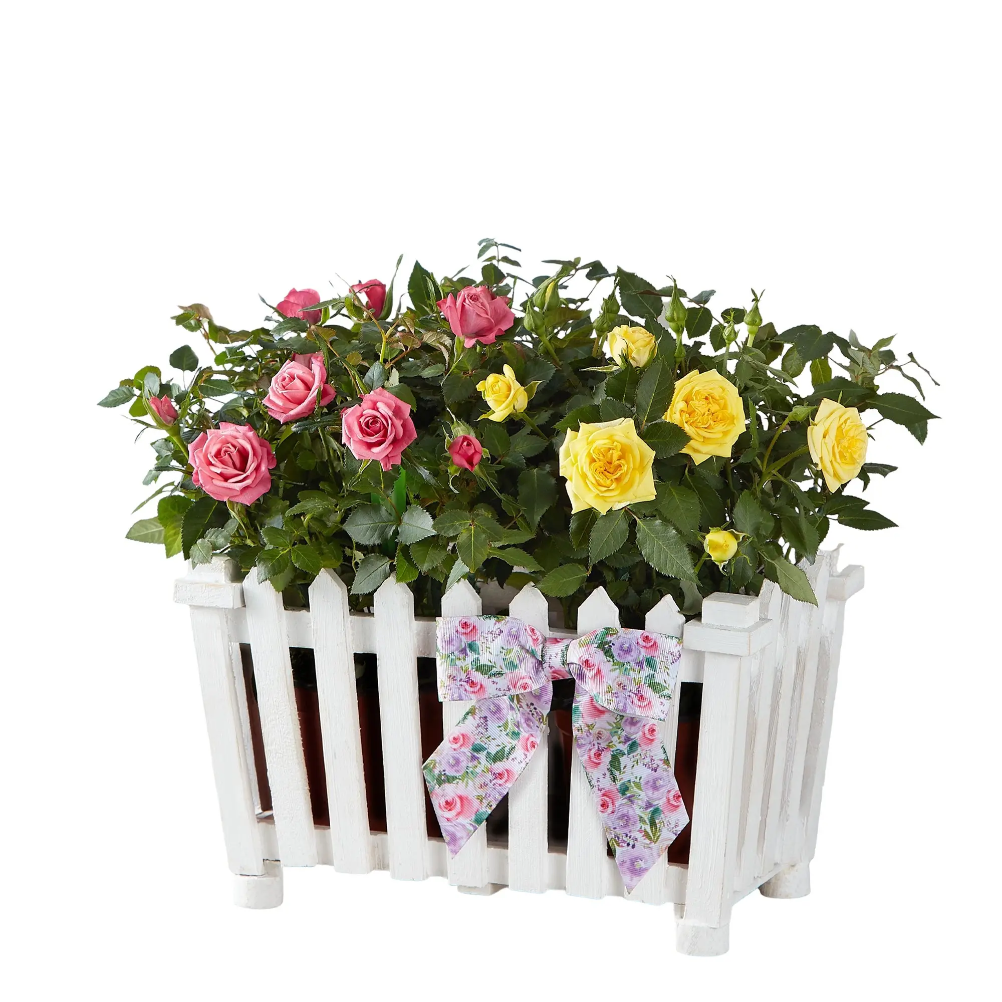 1800 Flowers - Charming Rose Garden Small