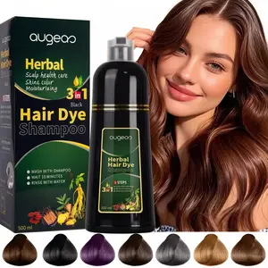 3 in 1 Hair Dye Shampoo - Can cover gray hairs,Herbal Ingredients,Contains Ginseng Extract,Natural Haircoloring, Black Hairdye,For Both Men And Women, Suitable For All Hair Types 500ml ﻿