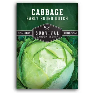 Early Round Dutch Cabbage Seeds
