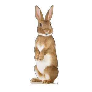 212 MAIN Single-Side Large Bunny Rabbit Cardboard Cutout Standup with Stand-Up Easel, 72x26 in, Advanced Graphics Home Decor & Photo Prop for Parties