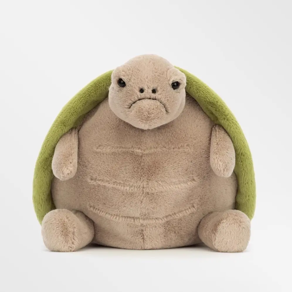 Grumpy Face Turtle Plush Toy, Soft Stuffed Tortoise Animal Pillow, Cute Cuddly Soft Stuffed Animals for Kids