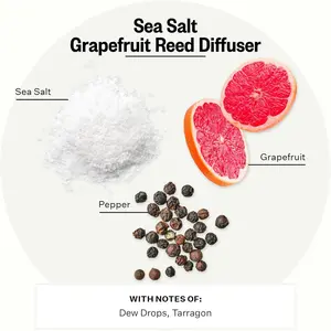Apotheke Luxury Scented Reed Diffuser for Home, Sea Salt Grapefruit - 6.7 Fl Oz Essential Oil Aromatherapy - 10 Rattan Scent Sticks Room Diffuser - Long-Lasting Fragrance for Bedroom, Home, Bathroom