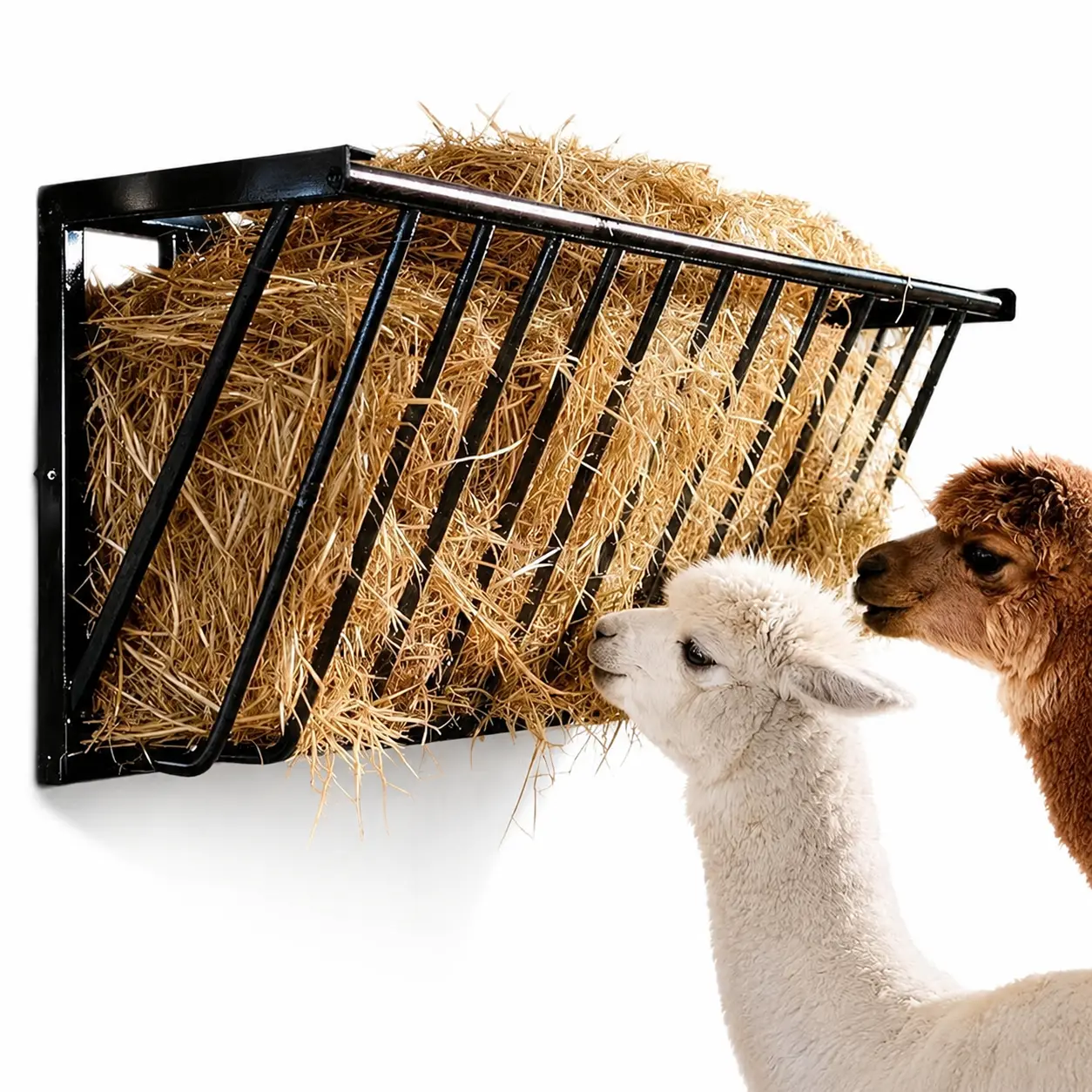2-in-1 Heavy-Duty Steel Wall-Mounted Hay Feeder & Blanket Holder, 63-in 67-Gal Tool Rack for Horse Stalls, Tool Organizer for Feeding & Storage Needs