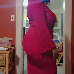 Elegant Chic Wedding Guest Long Sleeves Dress, Tight-Fitting Minimalist Style, Moderate Fabric Thickness, Perfect for Spring & Fall Events