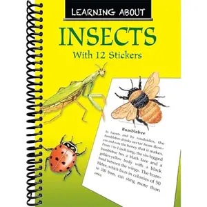 Learning About Insects (Dover Little Activity Books: Insects)