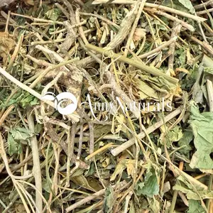 Fèy Ave ak tout rasin ak tout bwa a Herbal Tea Beverage