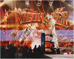 Dragon Lee WWE Autographed 16" x 20" Entrance Photograph - Fanatics Authentic Certified