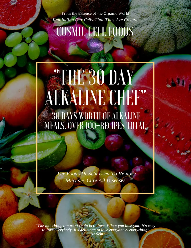 "The 30 Day Alkaline Chef" Cookbook - 30 Days Worth Of Alkaline Meals. Over 100+Recipes