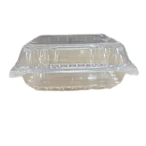 Clear Hinged Lid Container / One Compartment Clear Hinged Lid Container / One Compartment