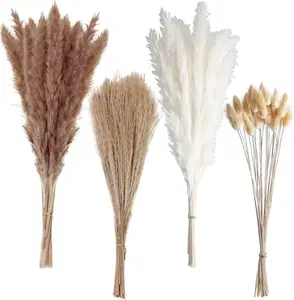100 PCS Small Boho Pampas Grass, 17" Naturally Dried Pompas, Pampas Grass Decor for Wedding , Boho Party Decorations, Table Decor（Brown and White）