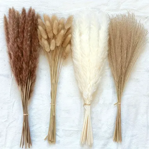 Natural Dried Pampas Grass Floral Bouquet - 100 Pieces, 17 in, Bunny Tails, Reed Plants, Gift Boxed Home Decor for Bedroom, Bathroom, Boho Wedding