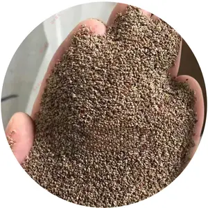 Fast Growing Grass Seed Drought Tolerant Backyard Lawn Garden Seed Grass Seed Fast Growing Drought Tolerant Lawn Repair Backyard Yard Low Maintenance Fast Germination Heirloom Non-GMO Vegetable Kit tiktokshopspringglowup