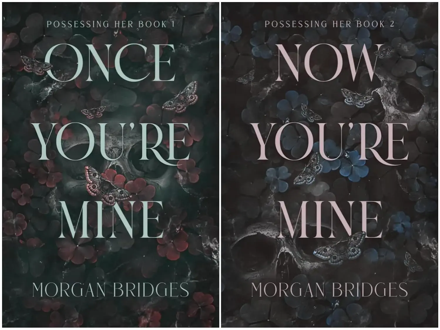 Possessing Her Series 2-Book Collection Set by Morgan Bridges - A Gripping Dark Romance Duology of Obsession and Desire - Once You're Mine, Now You’re Mine