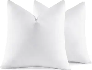 Pillow Insert
