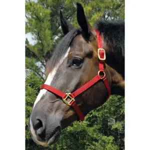Jeffers Premium Nylon Weanling & Yearling Horse Halters, 3-Ply, 1"