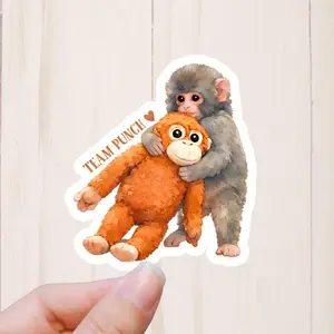Baby Monkey Punch Sticker, Viral Monkey Punchi, Team Punch, best friend gift, punch sticker