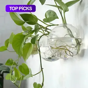 Wall Mounted Glass Planter without Plants, Round Glass Vase for Wall Decor, Wall Ornaments, Home Office Decoration Supplies, Hanging Planters