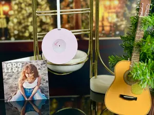 1989 Pink Ornament—Mini Vinyl Record Christmas Tree Ornament