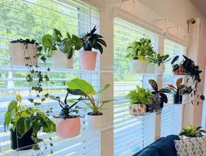Window Plant Shelf | Hanging Shelf | Acrylic Plant Shelves | Plant Stand