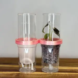 Tissue Culture Deflasking Kit Set | Self-Watering Humidity Acclimation Cups (6 Pack)