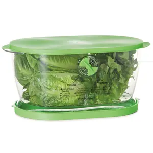 Progressive Lettuce Keeper | 4.7-Quart Containers Kitchen