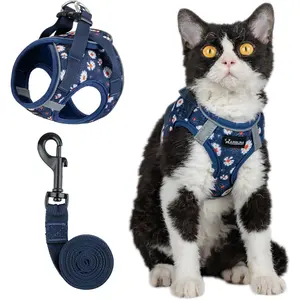 Soft Mesh Cat Harness and Leash Set for Walking,Escape Proof No Choke Step in Kitten Vest Harness,Reflective Ajustable Puppy Vest for Traveling
