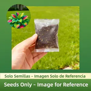 800pcs Flower Seeds – Vibrant Foliage Plants for Garden Beds, Borders & Containers
