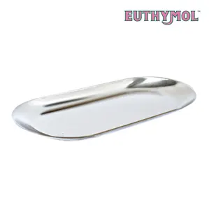 Euthymol Toothpaste Tray (Silver/Gold), Bathroom Accessories, Bathroom Essentials, Decor, Home Spa Accessories, Stainless, Korean Oral Care